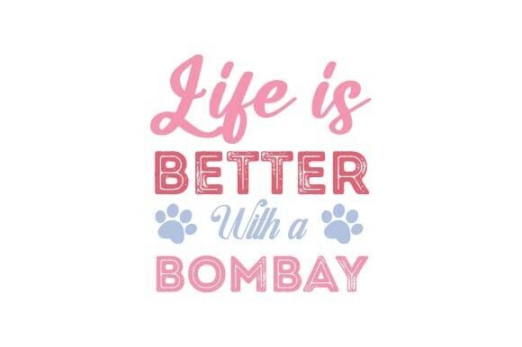 Bombay Cat SVG T-shirt Sublimation